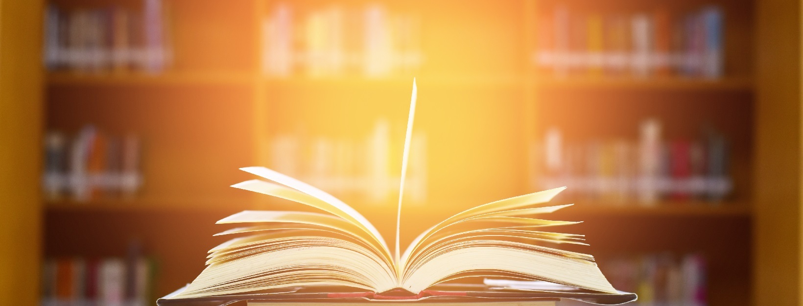 ホンシェルジュ イメージ画像